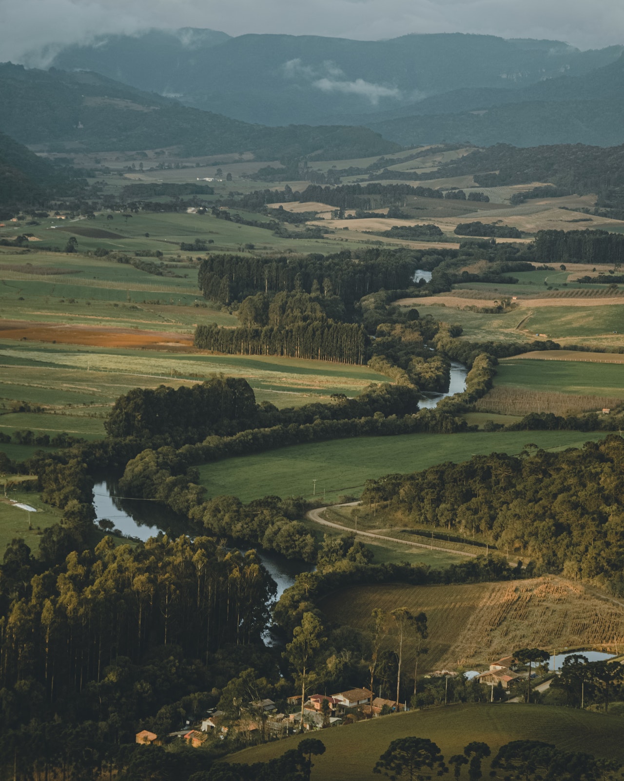 Medio ambiente