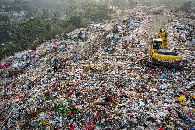 Medio ambiente